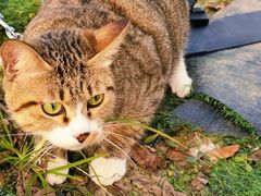 -白鹭湾湿地公园