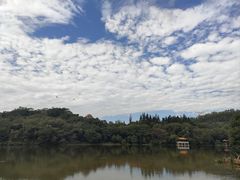 -深圳仙湖植物园