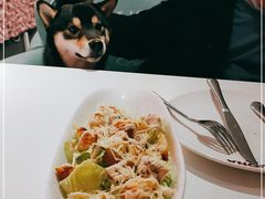 -百好乐宠物友好餐厅(朝外大街店)