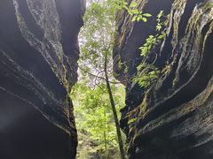 -梭布垭石林景区