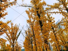 -百林公园-两江幸福广场