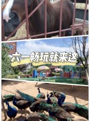 -萌宠亲子动物乐园(槐房万达店)