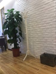 -Jasmine Queen 茉莉皇后美甲·美睫·美肤