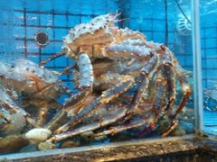 -协成海鲜火锅(情侣路店)