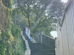 -新都巷步道