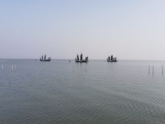 -贡湖湾湿地公园
