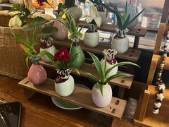 -宝翠花园餐厅(沙湖店)
