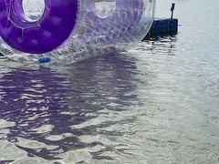 -碧海金沙