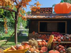 -HERRE·FARM 赫尔露营农场·团建聚会包场