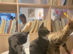 -有何Book(六堰体育馆店)