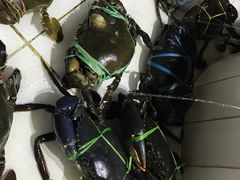 -海盗餐厅