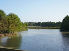 -上海海湾国家森林公园