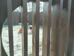 -春花秋色城市公园