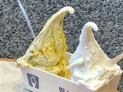 -野人先生现做冰淇淋(北京王府井东方新天地店)