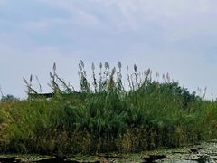 -处女泉风景名胜区