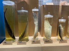 -青岛海底世界-水族馆