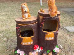 -太阳岛度假酒店