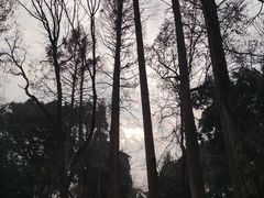 -杭州植物园
