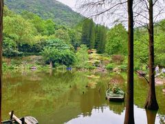 -深圳仙湖植物园
