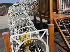 -南大港湿地风景区