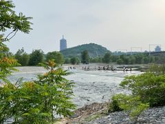 -永定河休闲森林公园