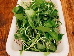 -正能量脆肉鲩火锅