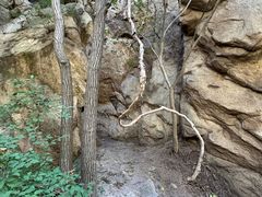 -大岭沟猕猴桃谷风景区