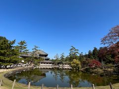 -奈良公园