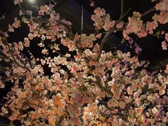 -绿茶餐厅(松江万达店)