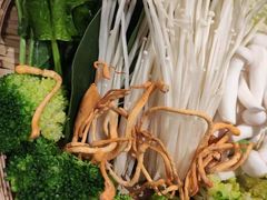 -卯火锅(人和协信店)