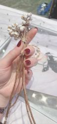点击看大图 -RL Nail·瑞丽美甲美睫品牌原创店