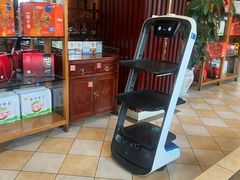-志晖园圆子鸡·辣子鸡(阳光店)