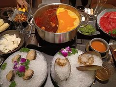 麻辣火锅-熹悟海鲜火锅·广式打边炉