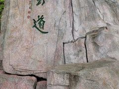 -梧桐山风景名胜区