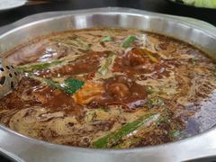 -新乡杨记红焖羊肉火锅(天坛南门店)