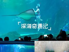 -海合安成都极地海洋公园