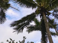 -三亚太阳湾柏悦酒店
