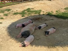 -盈香心动乐园