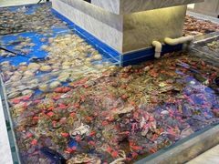 -川骄海鲜自助(河东店)