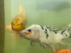 景点-云龙湖旅游景区