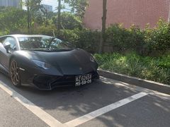 -海晖酒楼·顺德鱼生(荣华店)