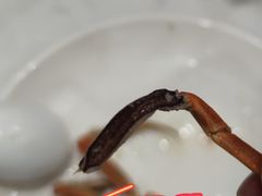 -集品鲜湾·蒸汽海鲜自助料理(青岛银座和谐广场店)