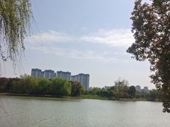 -澹台湖公园