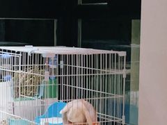 -美迦爱-动物医院·骨科·牙科·夜诊(朝阳路诊疗中心)