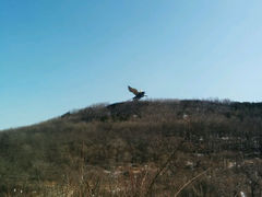 android_upload_pic-童牛岭风景区
