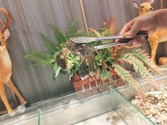 -韩风源烧烤涮自助餐厅(禹州新一峰店)