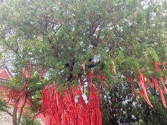 -青州市云门山风景区