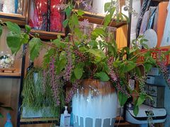 -爱尚幸福鲜花(上地实体店)