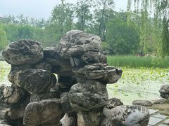 -莲湖公园