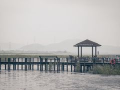 -太湖湖滨国家湿地公园-停车场